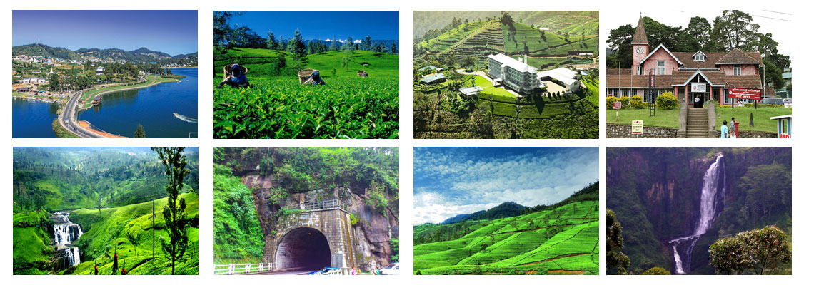 Nuwara Eliya