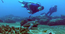 Thumbnail Image 1