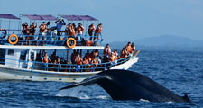 Thumbnail Image 1