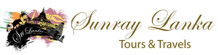 Holidays in Sri Lanka, Personal drivers in Sri Lanka